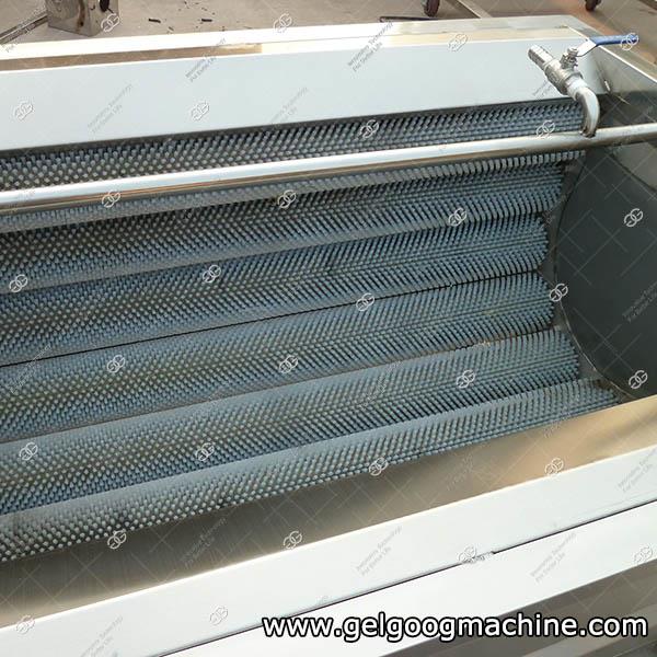 Brsuh Roller Ginger Washing Machine